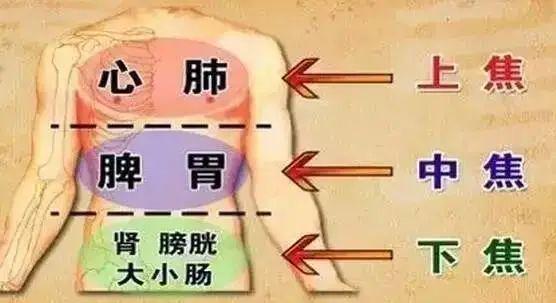 敲打三焦经视频
