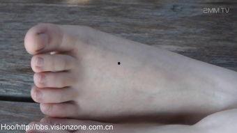 直播美脚视频,足下风情，视觉盛宴